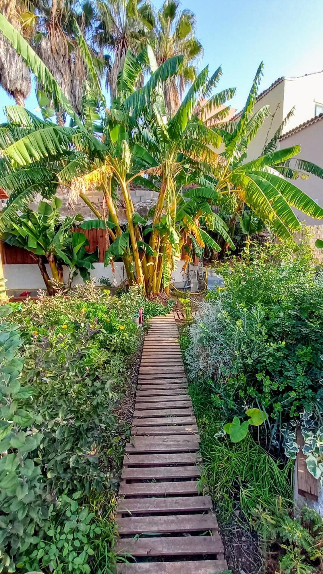 Apartament Don Pedro